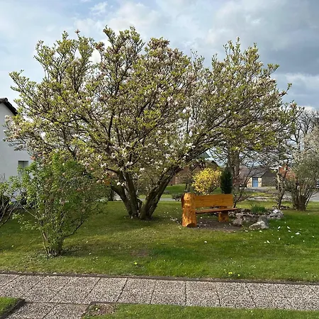 - Bergblick Am Koeterberg דירה *