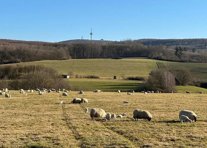 - Bergblick Am Koeterberg 吕格德