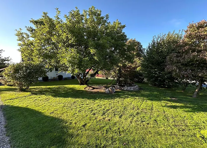 - Bergblick Am Koeterberg 公寓 吕格德